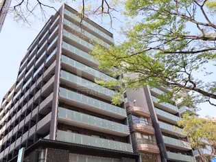 クラスけやき通りの画像