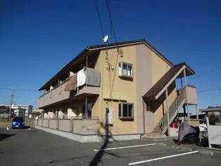 ビオラ Sの画像