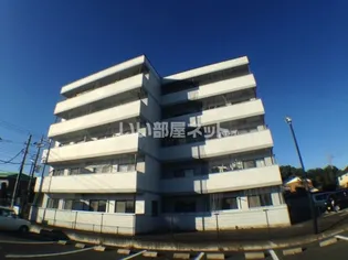 スカイピュア【3階】の外観