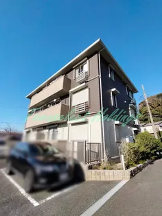 グリシーヌの画像