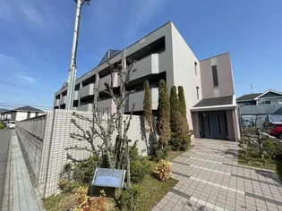 シュテレ70の画像