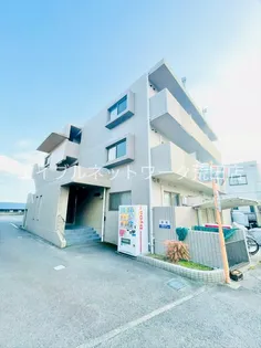 鹿児島県鹿児島市南新町【マンション】の外観