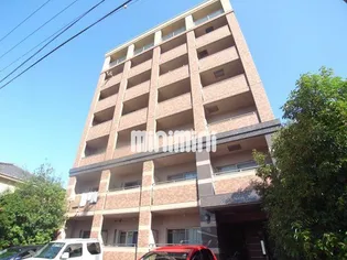 Park haim Mizuno【1階】の外観