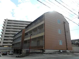 コンフォート鏡川の画像