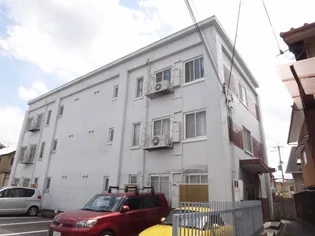 洛北松柏の画像