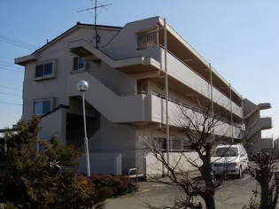 リラハイムタマヤの画像