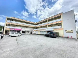 リータスIIの画像