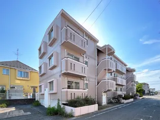 メゾン竹内【3階】の外観