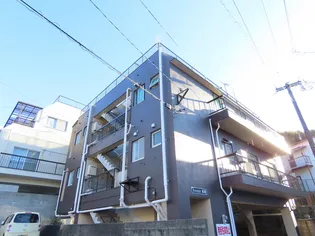 AVENIR本尾の画像