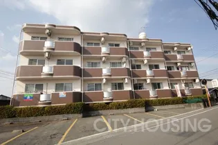 パレス フェアリーIの画像