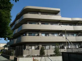 プリムローズの画像