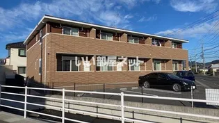 ライム17の画像