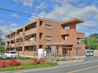 ウィルゴーの画像