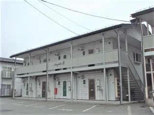 アンジェリックBの画像