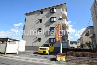 マリナスパジオの画像