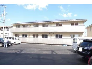 サンシャイン見白の画像