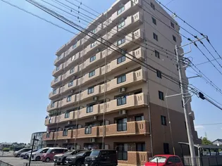 カルフール パレの画像