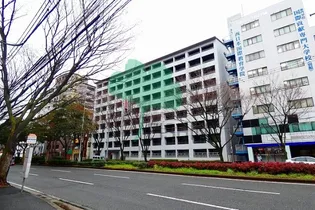 サルヴァトーレ大橋の画像
