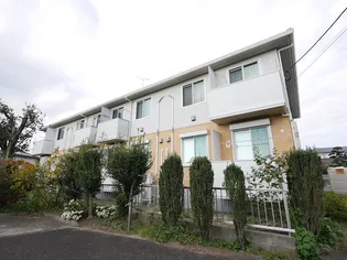 ベルドミールCの画像