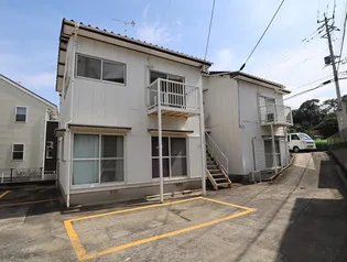 AP紗の画像
