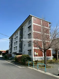 神奈川県平塚市高村【マンション】の外観