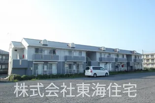 サンモールコウヤの画像