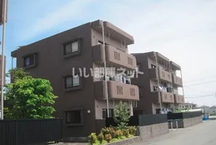 テージスの画像