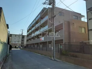 セルアロームの画像