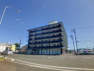 メゾン信夫ヶ丘【3階】の外観