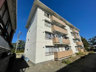 EAGLE MIHOの画像