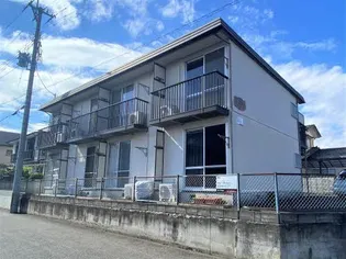 サングリーンの画像