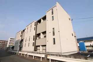 CB和白プレベールの画像