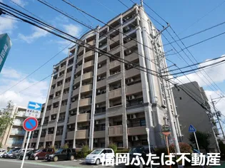 シャロームミキの画像