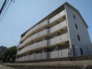 アイリスの画像