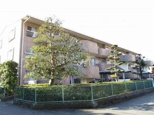 ベルハイム木の宮の画像