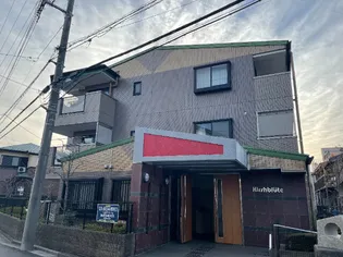 キルシュブリューテの画像