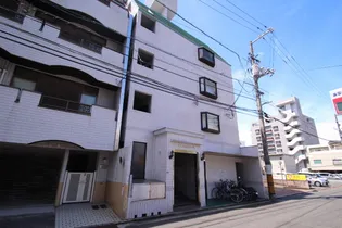 アスプロパラティ'8の画像