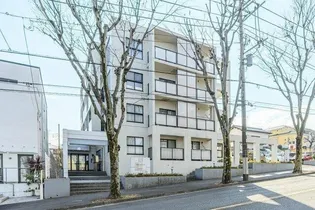 ブルーリーフ Kの画像