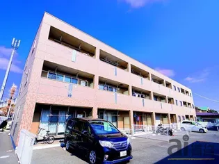 ジングレースの画像