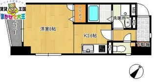 モンパルト万屋【7階】の間取り