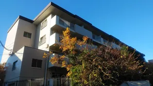 サンワパレスの画像