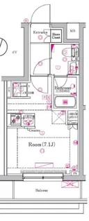 AZEST金町【4階】の間取り