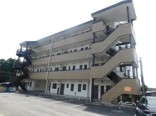 ルミエールの画像