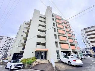 龍王ハイツの画像