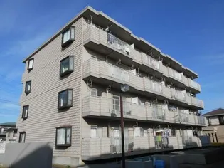 コウジィーコートの画像