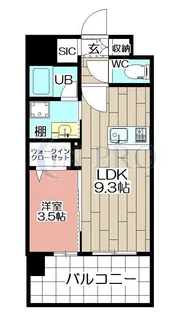 THE SQUARE・Urban Residence【11階】の間取り