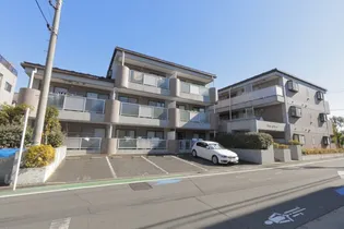 プラムエヌティーの画像