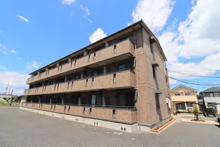 ロックパイン Bの画像