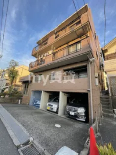 ノーザンライトの画像