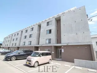 セントポーリアCHERIRの画像